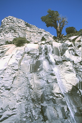 Rinnsal am Felsen - Foto, Druck, Poster, Leinwand