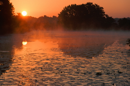 Waldsee im Sonnenaufgang - Foto, Druck, Poster, Leinwand