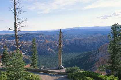 Bryce Canyon - Foto, Druck, Poster, Leinwand