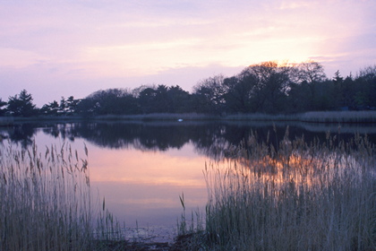 Moorsee - Foto, Druck, Poster, Leinwand
