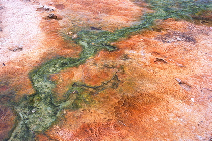 Yellowstone - Foto, Druck, Poster, Leinwand