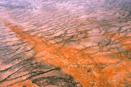 Yellowstone - Foto, Druck, Poster, Leinwand