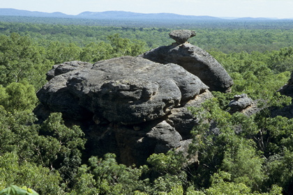 Felsen im Wald - Foto, Druck, Poster, Leinwand