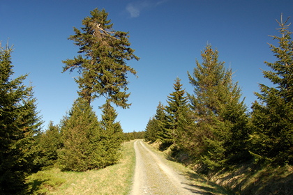 Mittelgebirgsweg - Foto, Druck, Poster, Leinwand