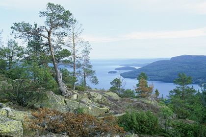 Ostseefjord - Foto, Druck, Poster, Leinwand