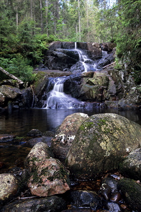 Waldbach - Foto, Druck, Poster, Leinwand