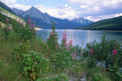 Bergsee - Foto, Druck, Poster, Leinwand