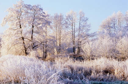 Winterlandschaft - Foto, Druck, Poster, Leinwand