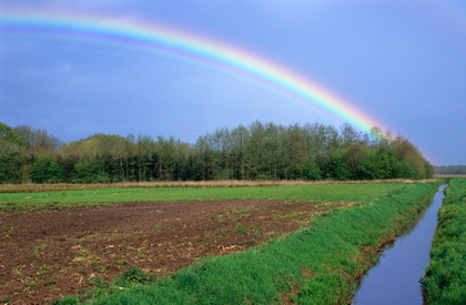 Regenbogen - Foto, Druck, Poster, Leinwand