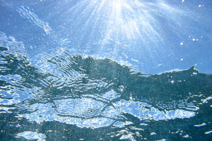 Sonnenstrahlen Unterwasser - Foto, Druck, Poster, Leinwand