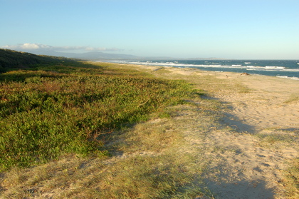 Seven Mile Beach - Foto, Druck, Poster, Leinwand