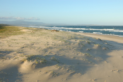 Seven Mile Beach - Foto, Druck, Poster, Leinwand