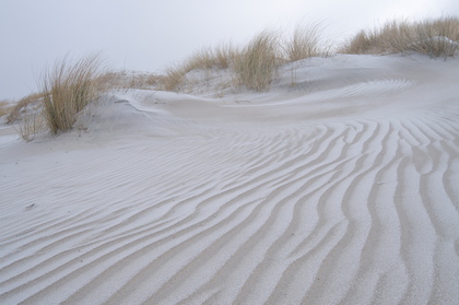 Stranddünen - Foto, Druck, Poster, Leinwand