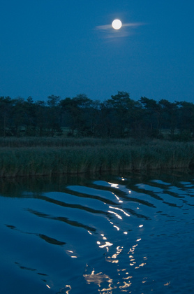 Vollmond über dem Bodden - Foto, Druck, Poster, Leinwand