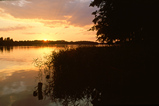 Foto Waldsee im Sonnenuntergang