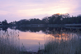 Foto Moorsee