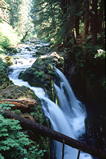 Foto Waldbach