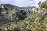 Foto Mediterrane Berglandschaft