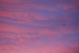 Foto Morgenrot