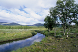 Foto Bachlauf