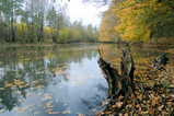 Foto Herbst am Fluss