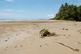 Foto Palmenstrand