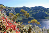 Foto Kratersee