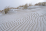 Foto Stranddünen