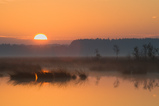 Foto Sonnenaufgang im Moor