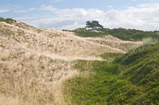 Foto Dünenlandschaft