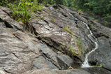 Foto Rinnsal am Felsen