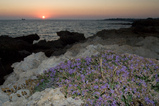 Foto Sonnenuntergang überm Meer